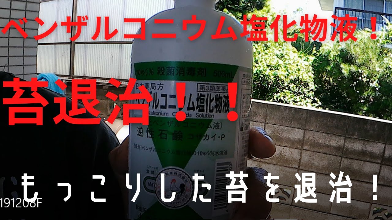 500円のベンザルコニウム塩化物液で苔退治！
