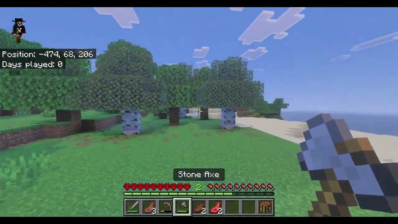 Hardcore Minecraft
