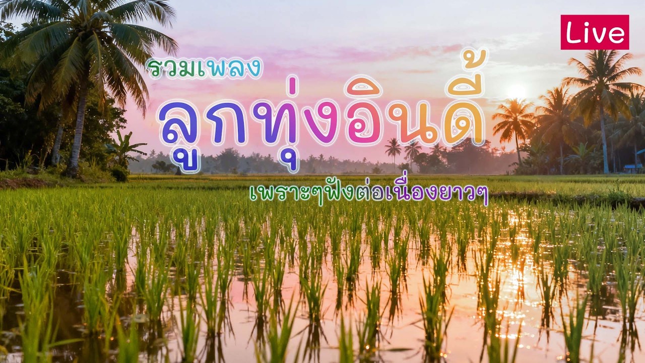 รวมเพลงลูกทุ่งเพราะๆ ฟังยาวๆ ฟังตอนทำงาน ฟังก่อนนอน