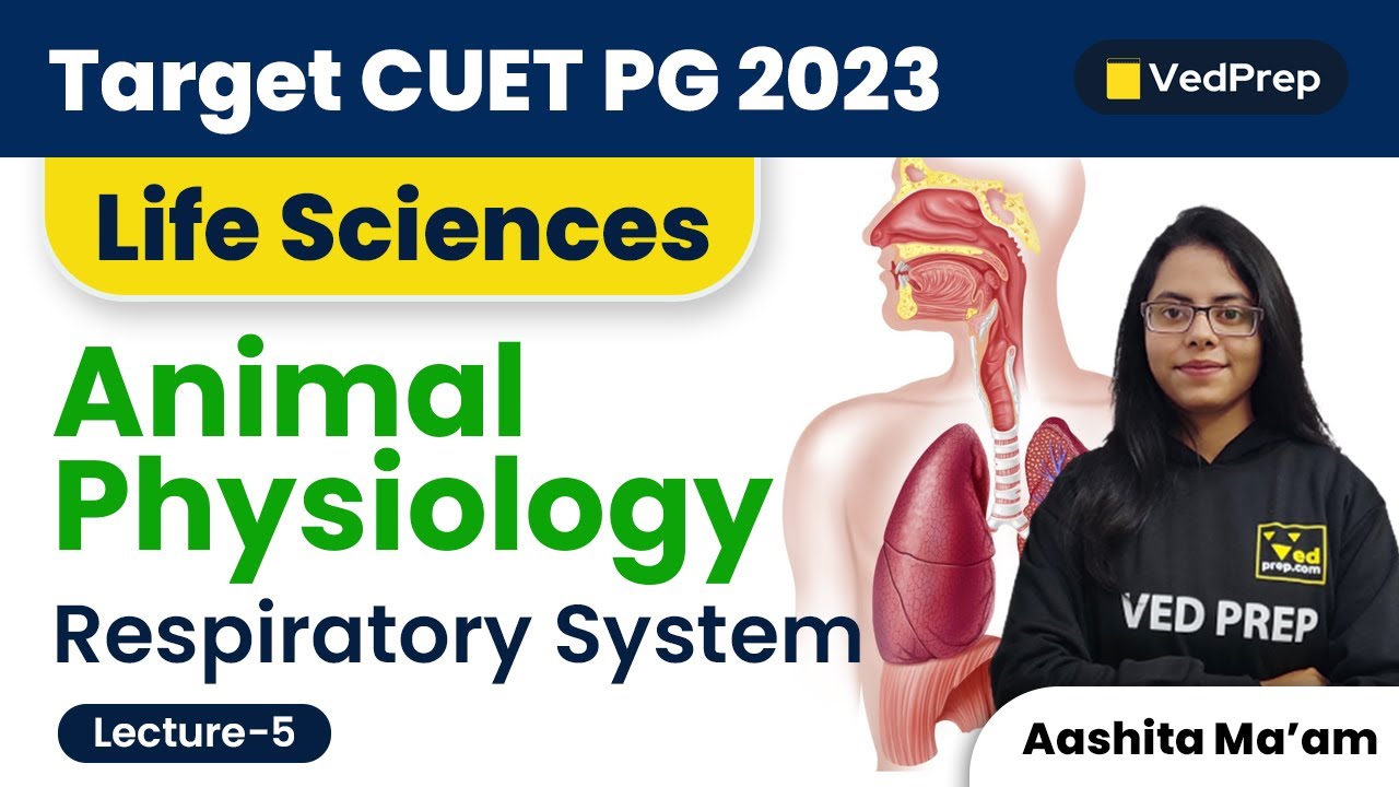 Respiratory System | Animal Physiology | CUET PG 2023 Life Sciences | VedPrep Biology Academy