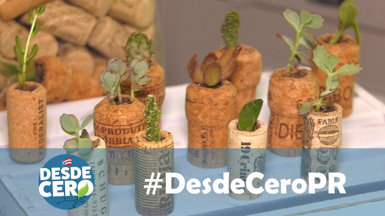 ¿Qué hacer con los corchos de vino? #Monerías, tiestos en miniatura #DesdeCeroPR