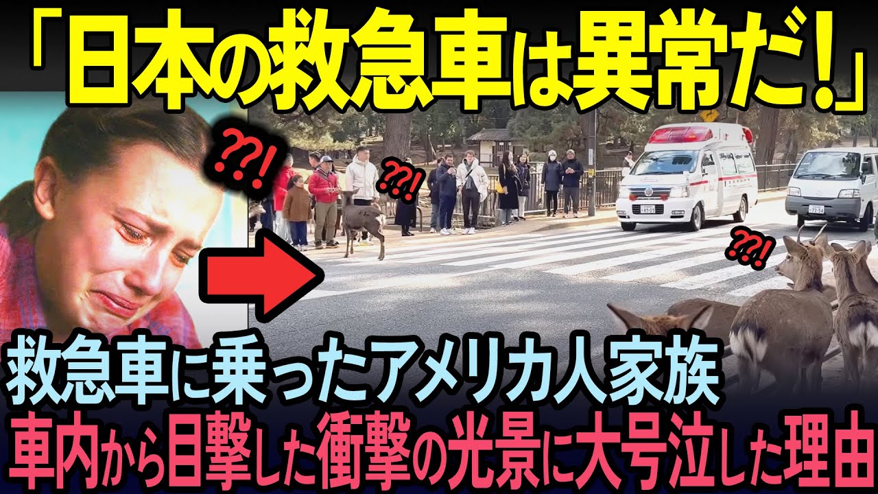【海外の反応】「鹿が救急車に道を譲ってるわ！」日本旅行中のアメリカ人家族が救急車で運ばれ衝撃を受けた光景とは