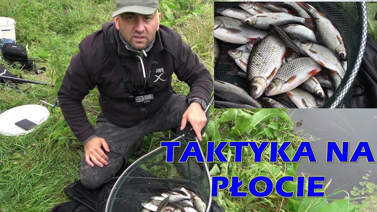 TAKTYKA NA PŁOCIE! BOLONKA, SPŁAWIK, PRZEPŁYWANKA NA RZECE! VLOG 30