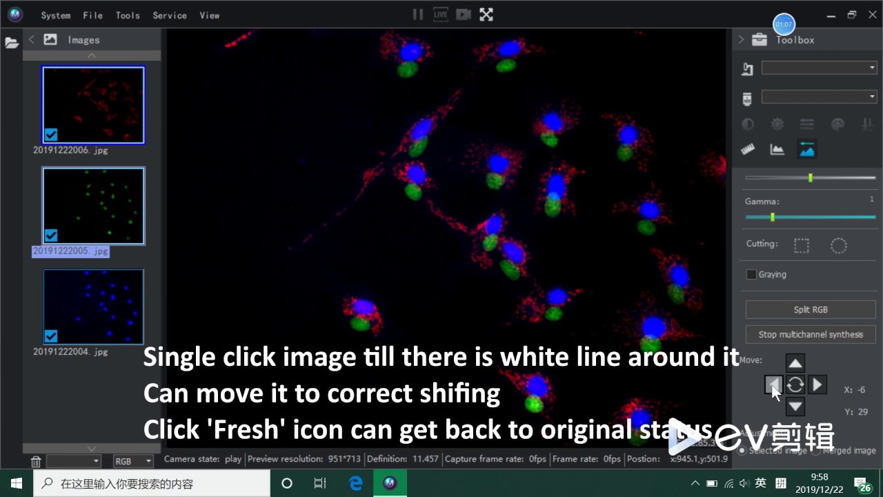 How to merge fluorescence imaging channels?