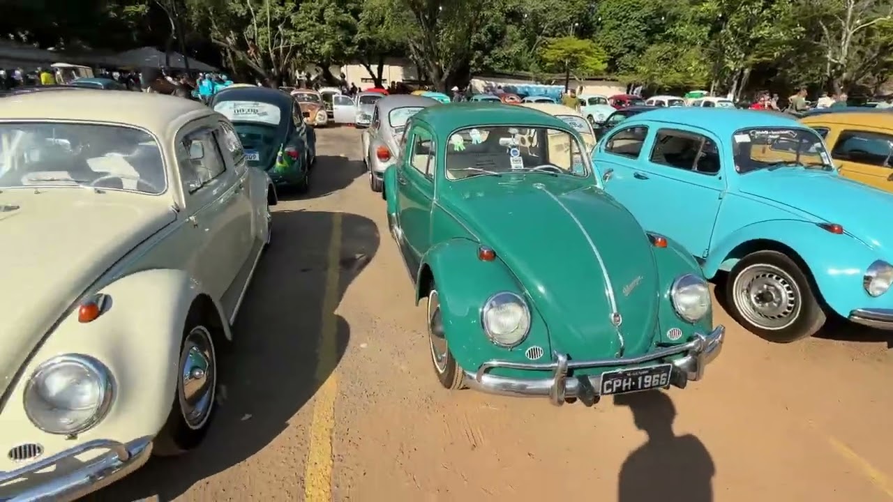 33&deg; ANIVERS&Aacute;RIO DO CLUBE DO FUSCA DA BAHIA 2025