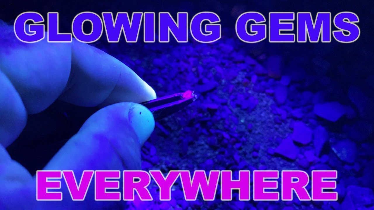How to Find Sapphires at Night! UV Blacklight Gem Hunt. Spinel and Ruby Glow Too!