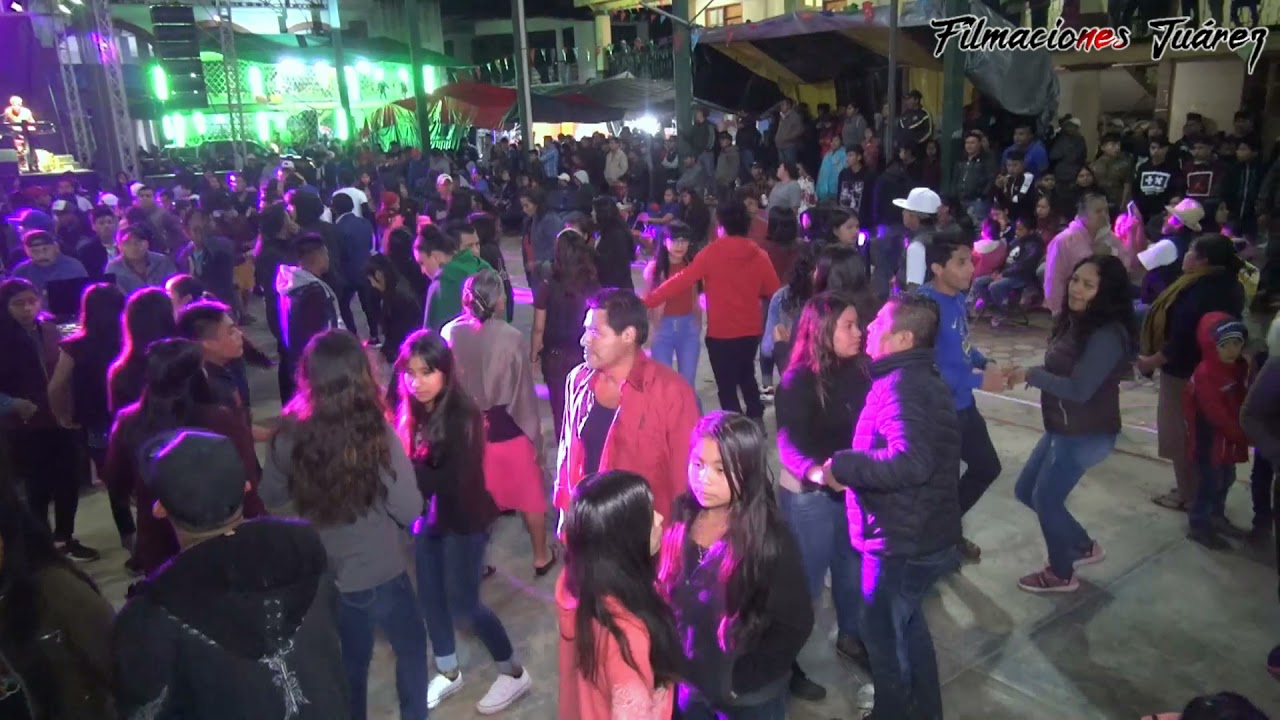 La niña del Teléfono - Yo vendo unos ojos negros - Grupo Afortunados de Tierra Mixe
