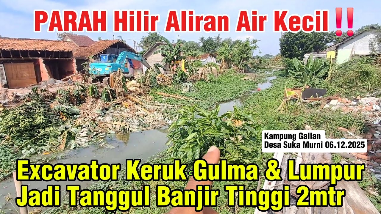 Hilir Aliran Air Kecil‼️Excavator Keruk Gulma & Lumpur Jadi Tanggul Banjir Tinggi 2mtr #dedimulyadi