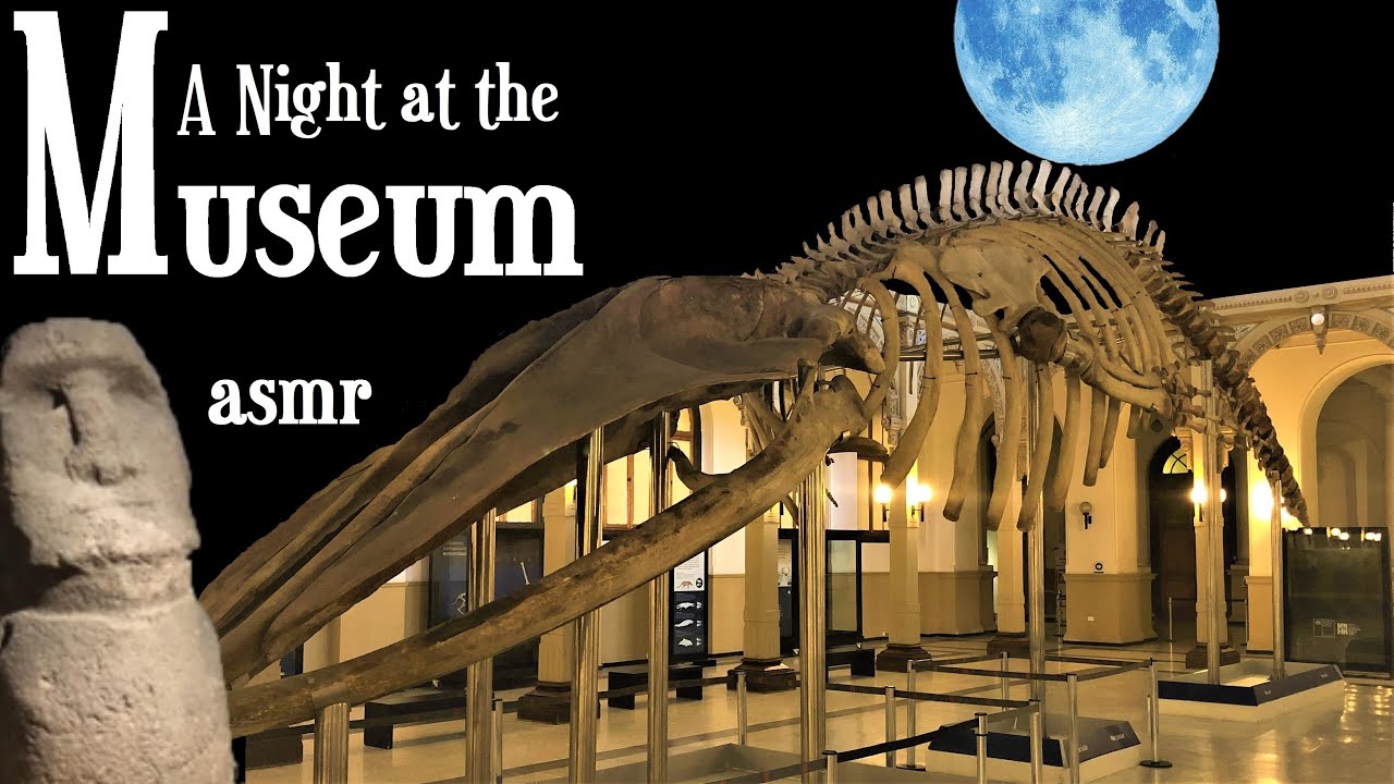 A Night at the Museum: ASMR for sleep (Paleontology, Archaeology, Zoology, Anthropology, Chile...)