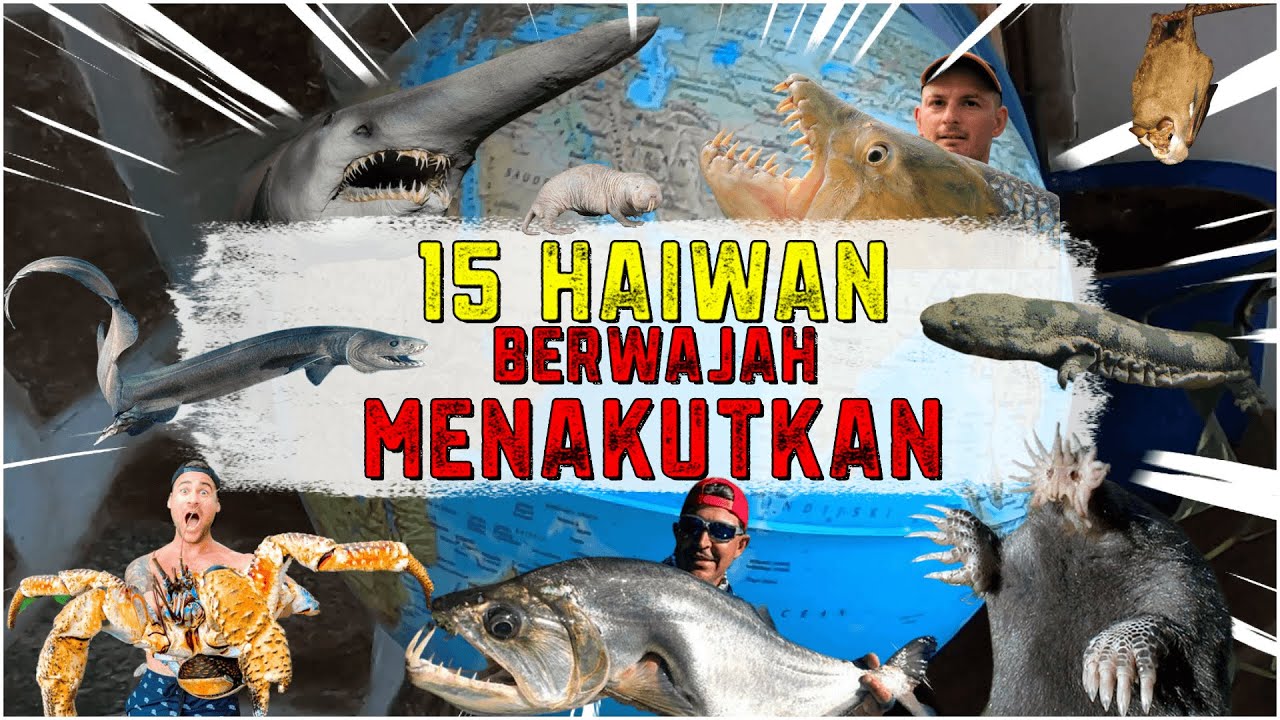 15 Haiwan Pelik Berwajah Paling Menakutkan Di Dunia 🌎