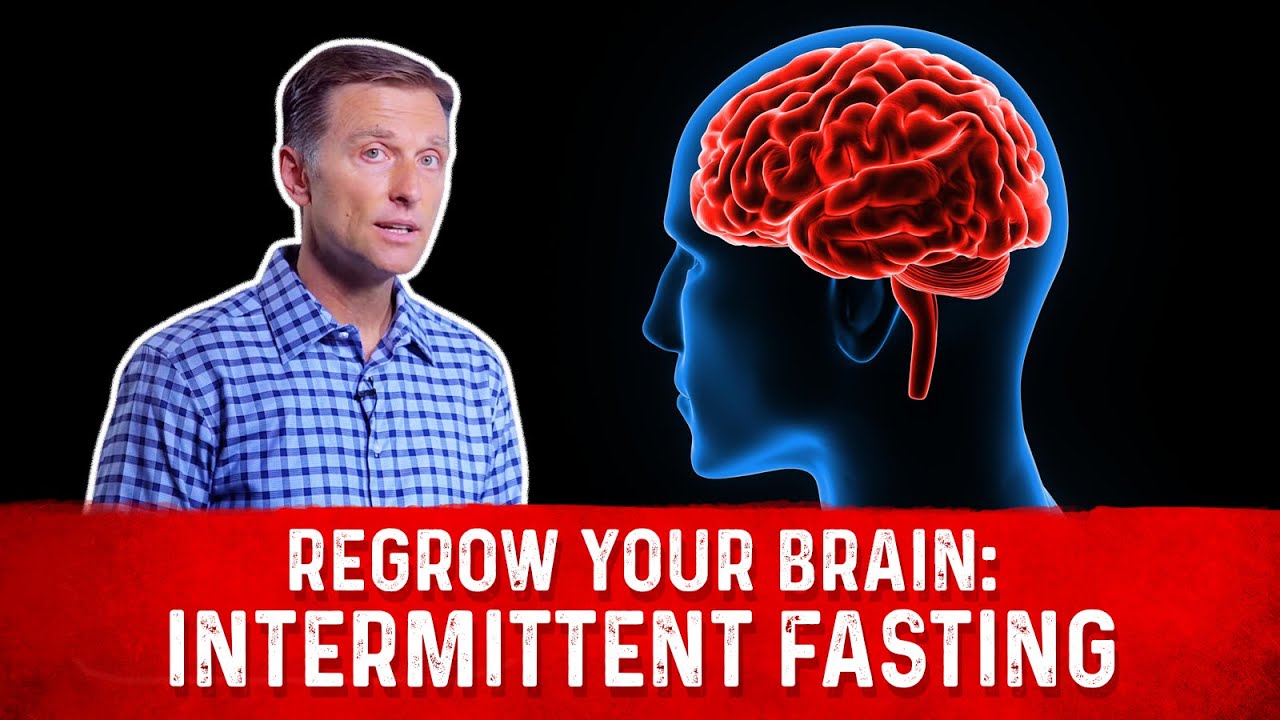 Regrow Your Brain with Intermittent Fasting &ndash; Brain Derived Neurotrophic Factor (BDNF) &ndash; Dr.Berg