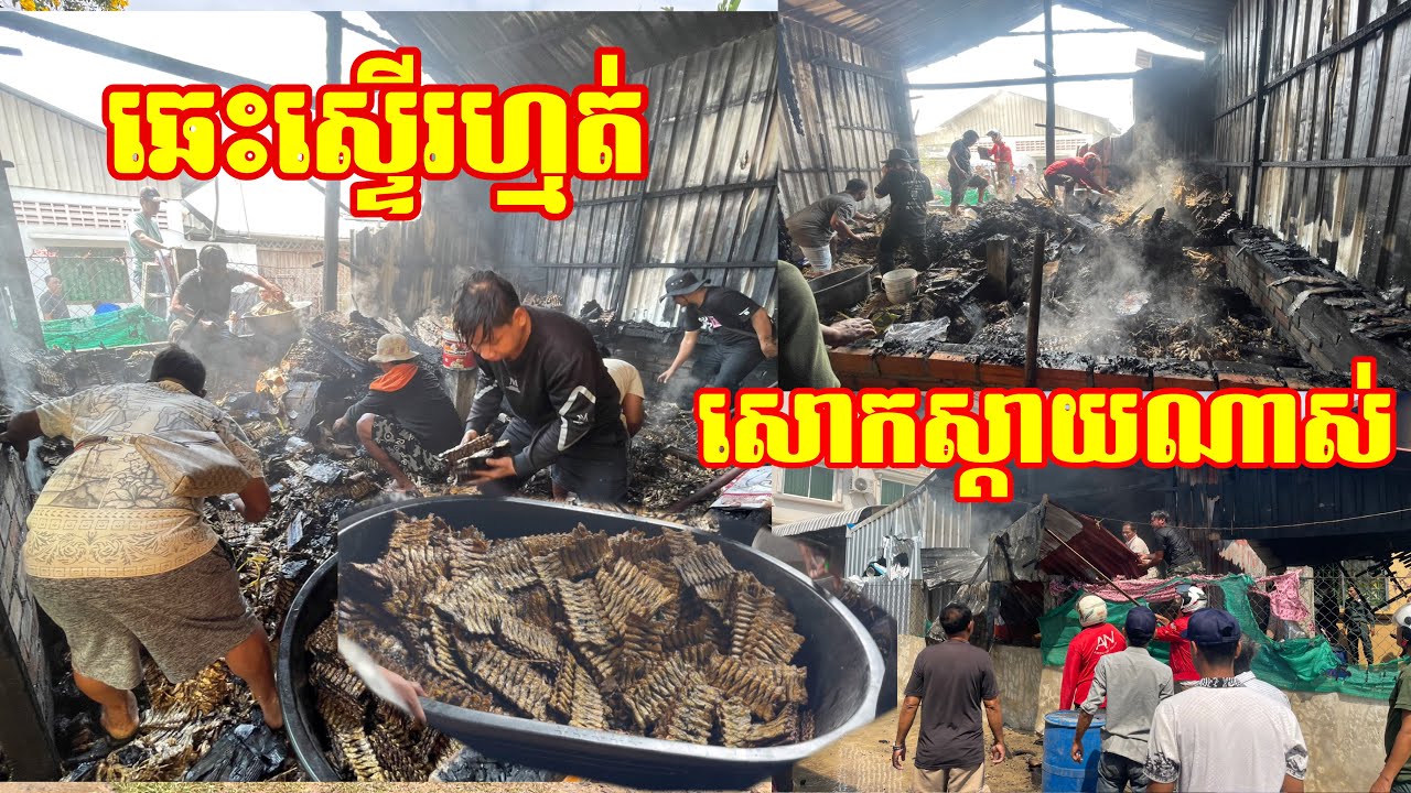 ឆេះហើយ ត្រីឆ្អើររាប់ម៉ឺនចង្កាក់ ឆេះស្ទើហ្មត់