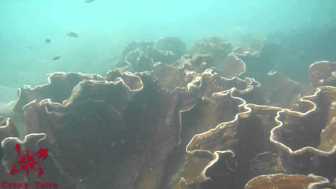 Crazy Yatra scuba diving in Malvan Dec 14-10