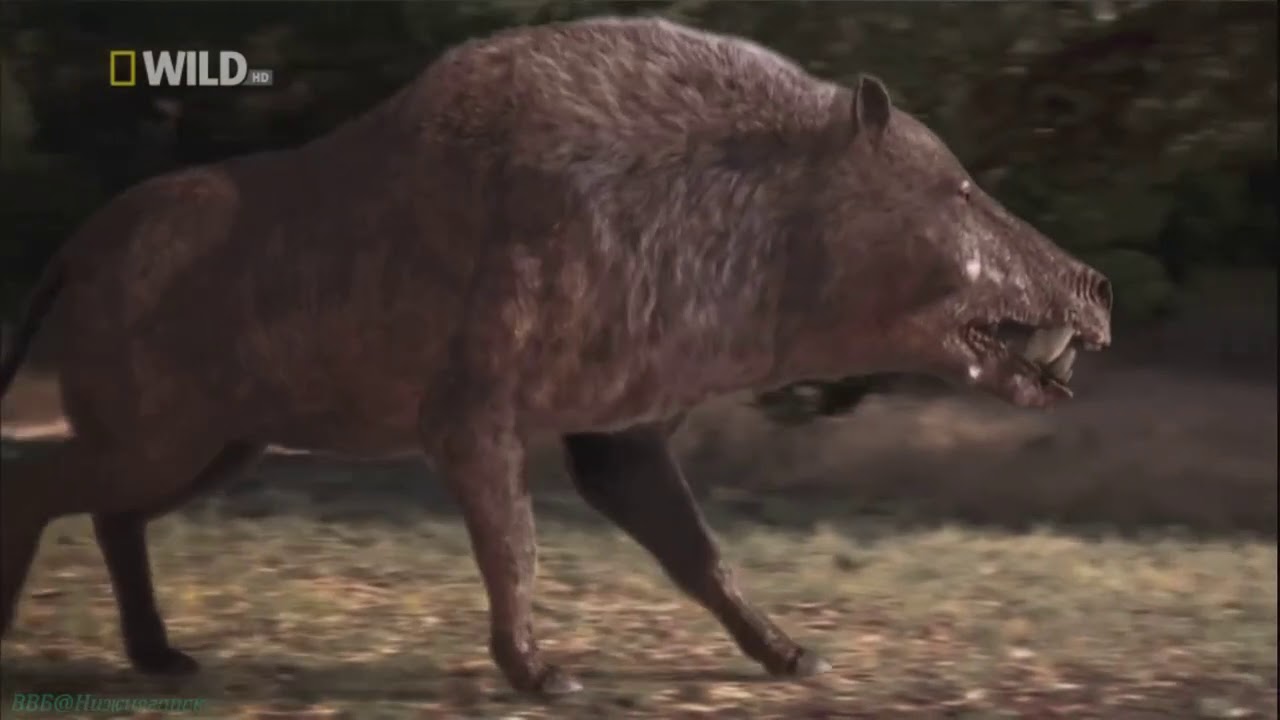 Entelodont evolution: Daeodon (Dinohyus) vs Subhyracodon [RUS]