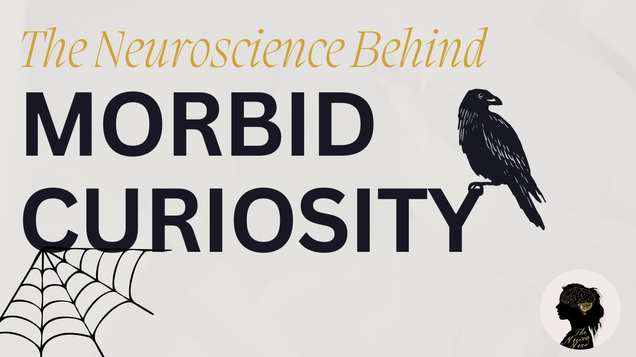 The Neuroscience Behind Morbid Curiosity │The Neuro Nerd