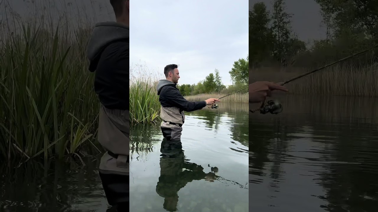 P&ecirc;che d&rsquo;une grosse truite &agrave; la cuill&egrave;re 🤩 #fishing #trout #peche #truite #tips
