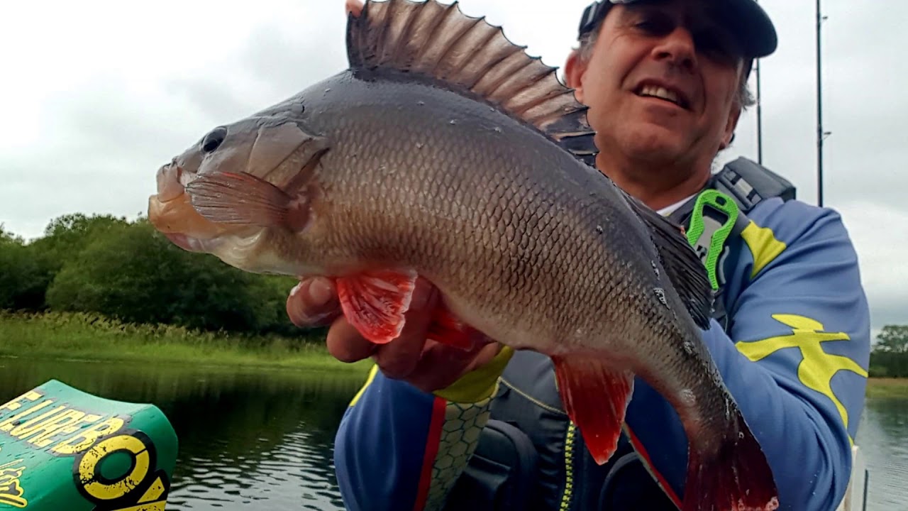 Kayak fishing for BIG PERCH in Scotland