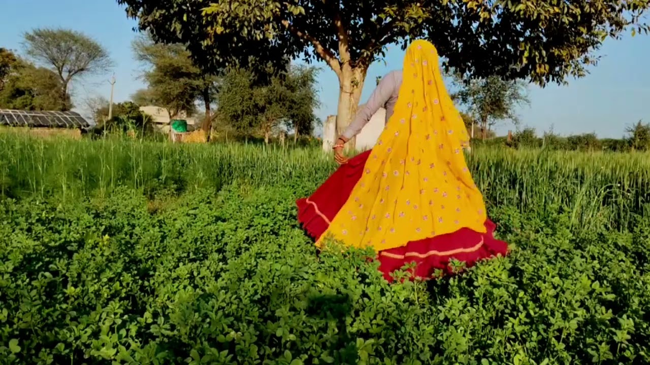 ज्यानू थारो गोरो भूरो पेस गज़ब डिजे प चमक क र सिंगर सोनू बाडोलास 