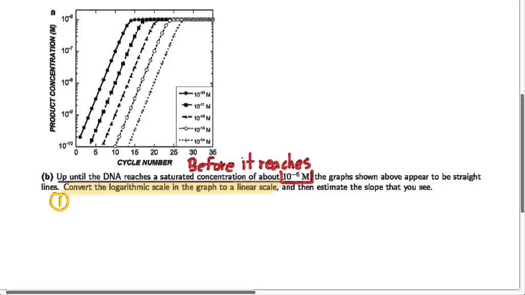 125.T2: Mathematics of PCR in biology