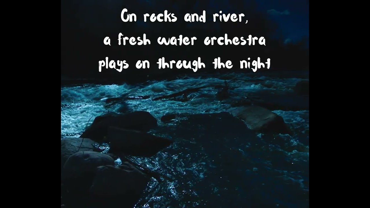 Night Orchestra