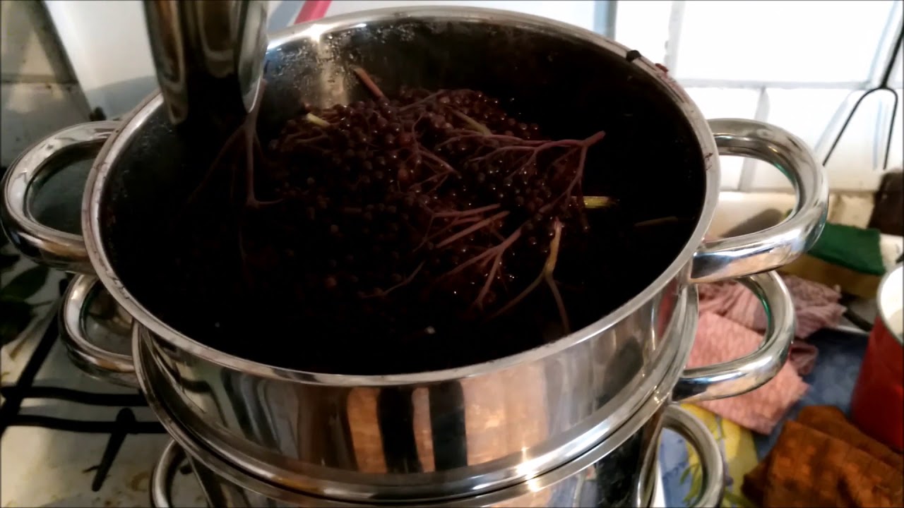 Jak zrobić sok z czarnego bzu [ how to make juice ]