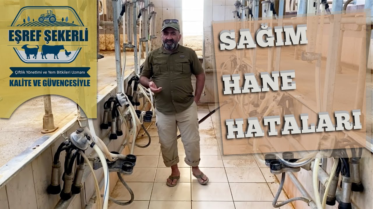 Sağımhanede Yapılan Hatalar Neler? #Sağım #Sağmal