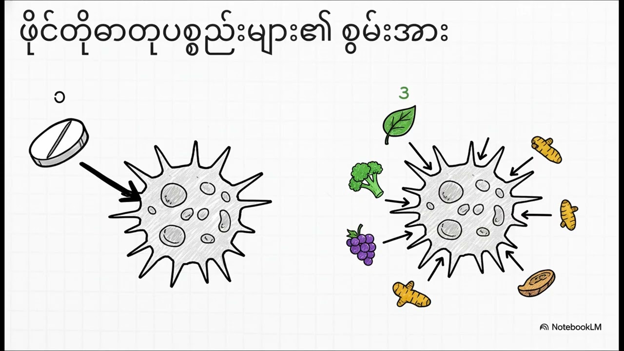 အပင်များ၏ စွမ်းအား
