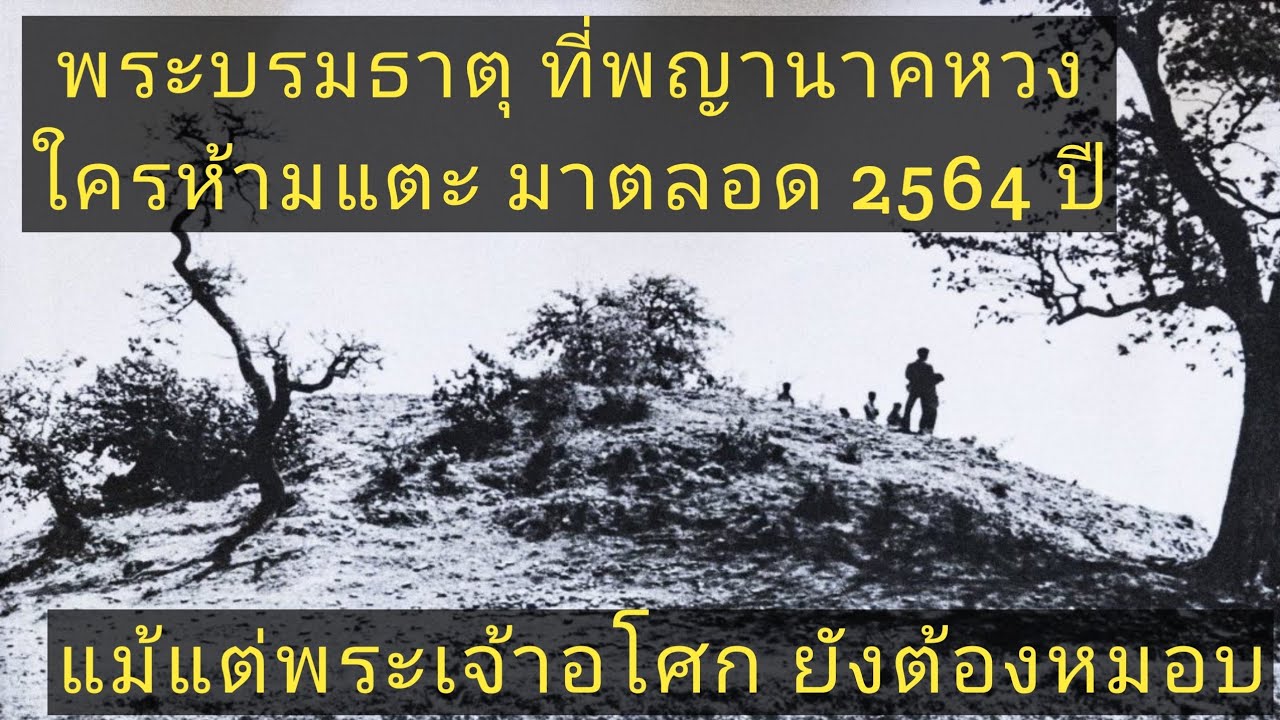 แม้แต่พระเจ้าอโศก ยังต้องหมอบต่อศรัทธาของพญานาคที่มีต่อพระบรมสารีริกธาตุ ณ รามคามสถูป
