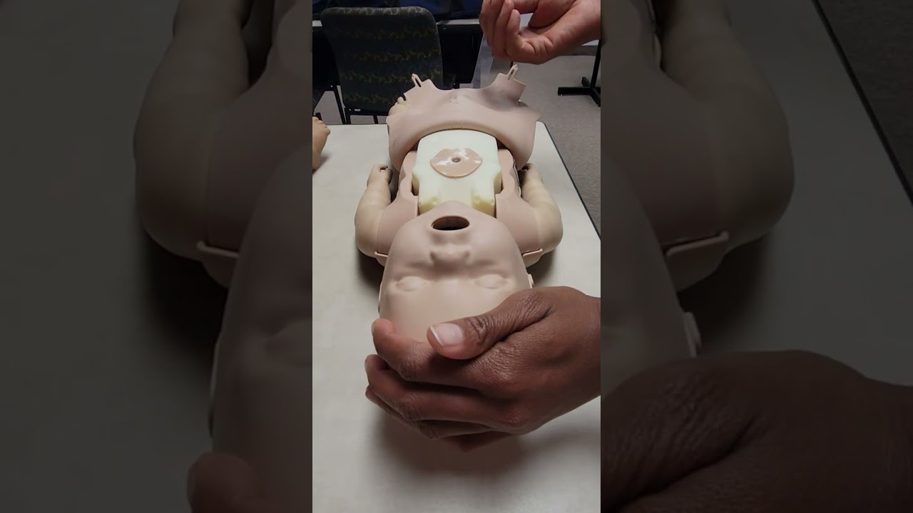 HOW TO EASILY INSTALL A LUNGBAG  PRESTAN INFANT MANIKINS