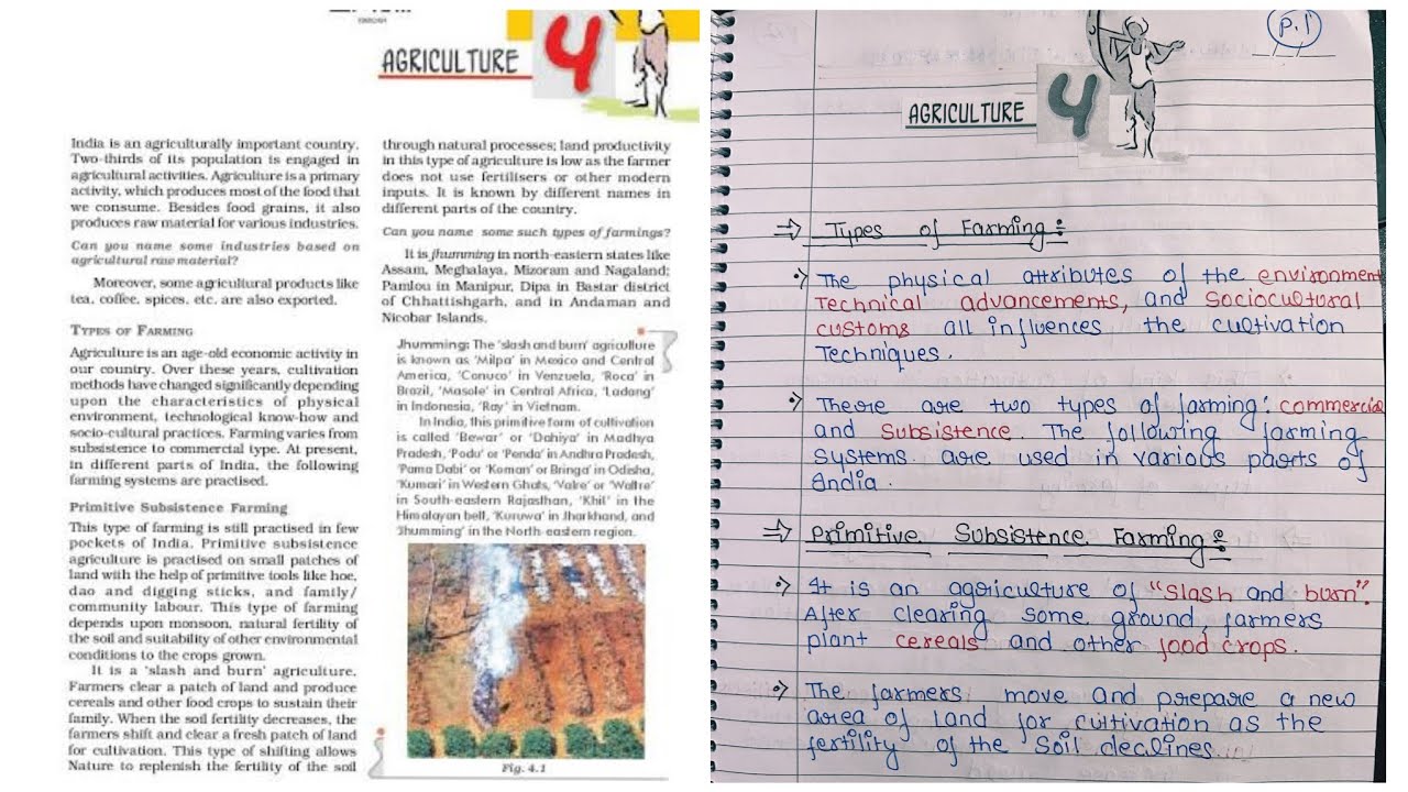 NCERT notes For Class 10 Geography Social Science Chapter 4 Agriculture.