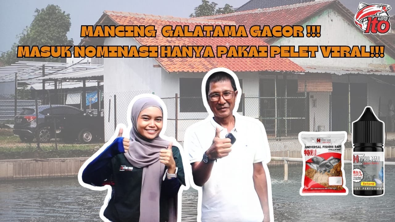 MANCING GALATAMA GACOR!!! MASUK NOMINASI PAKAI PELET VIRAL!!!