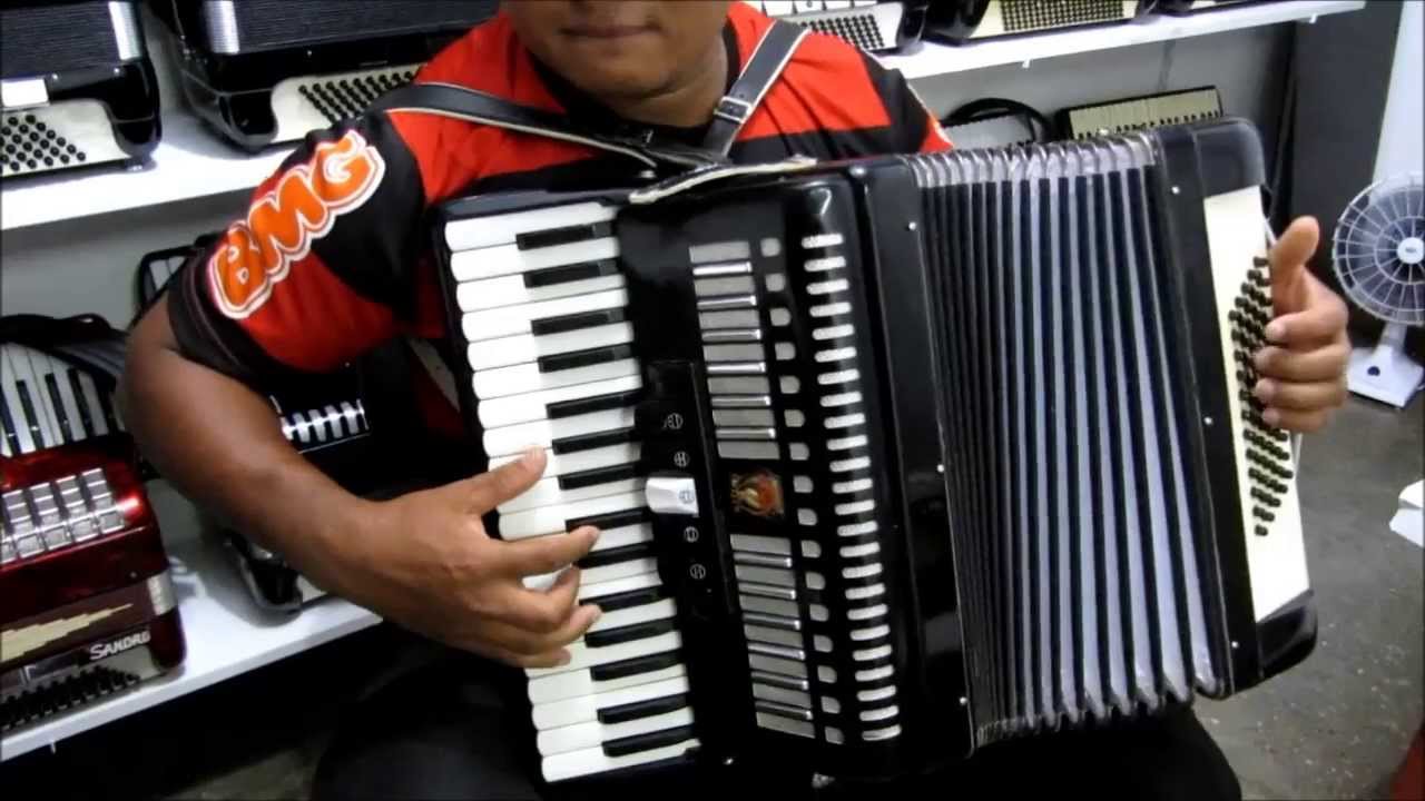 Acordeon Parrot