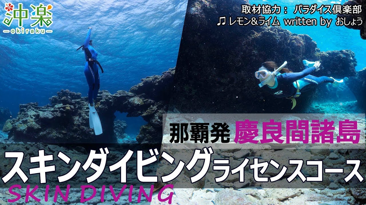 慶良間諸島「スキンダイビング」ライセンス講習1日 ★パラダイス倶楽部【沖楽】
