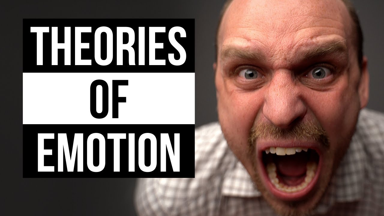 Psych: Theories of Emotion