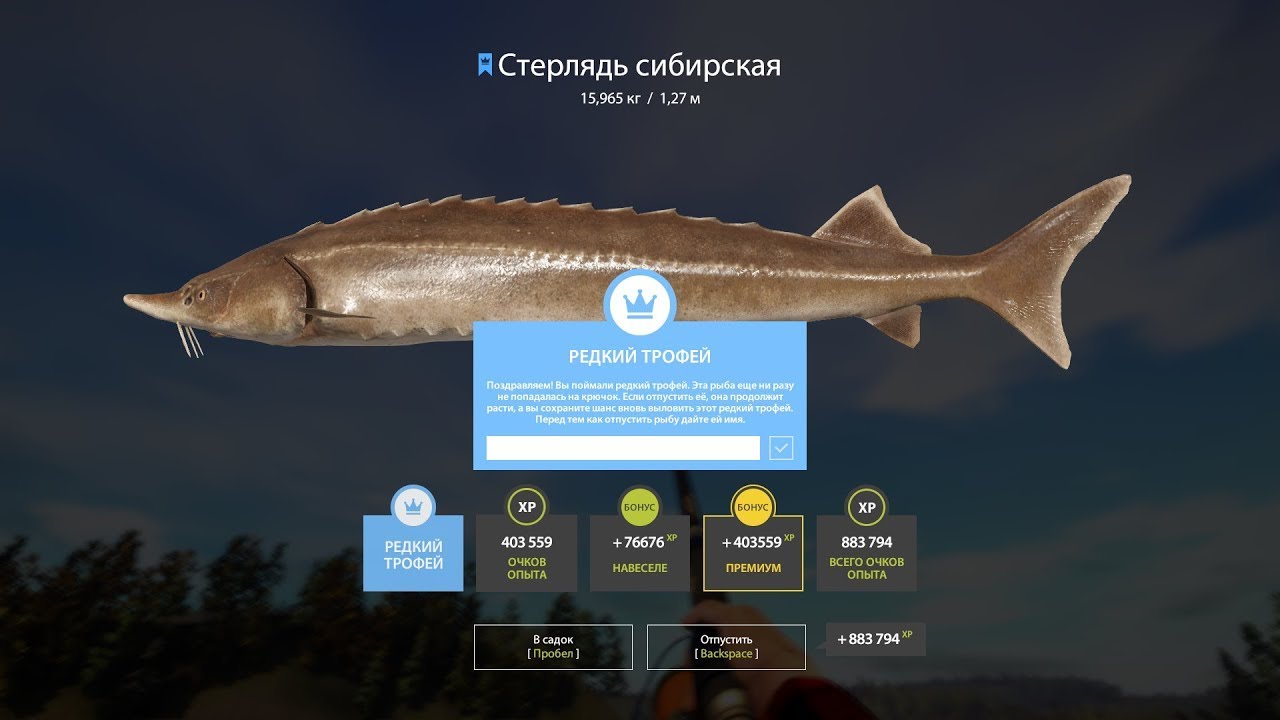 БЕЛОБРЫСЫЙ, Фарм на МЕДНОМ+ТРОФ стерлядка №2