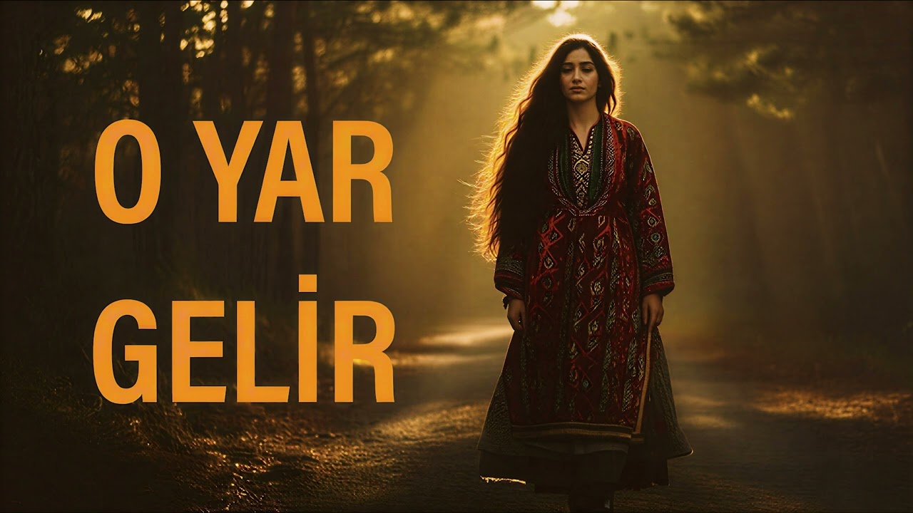 O Yar Gelir | Psychedelic Anatolian Rock Cover
