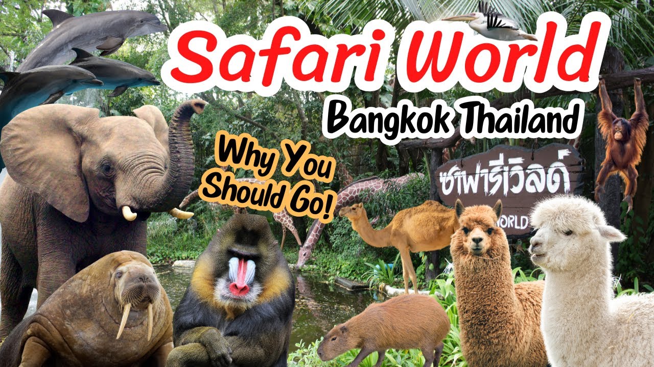 Safari World Bangkok ! Why you should go ! Place Must Visit in Thailand | ซาฟารีเวิลด์ กรุงเทพ