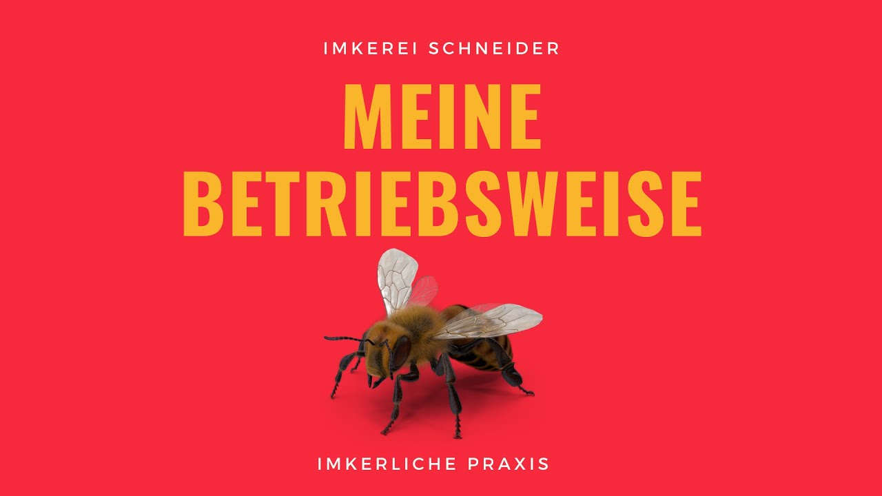 Imkern mit Schweizerkasten | Meine Betriebsweise | Bienenhaltung mit Hinterbehandlungskasten