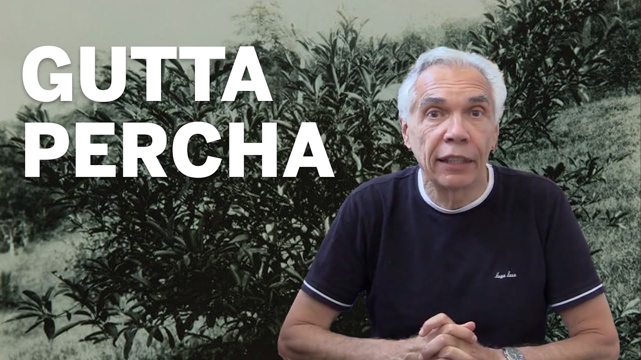 Dr. Joe Schwarcz gets to the root of gutta percha