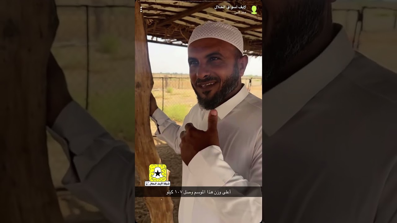 زيارتنا لمراح الخير للماعز البيشي الابرص في القنفذة الجمعة ١٤٤٧/١/٢ هـ