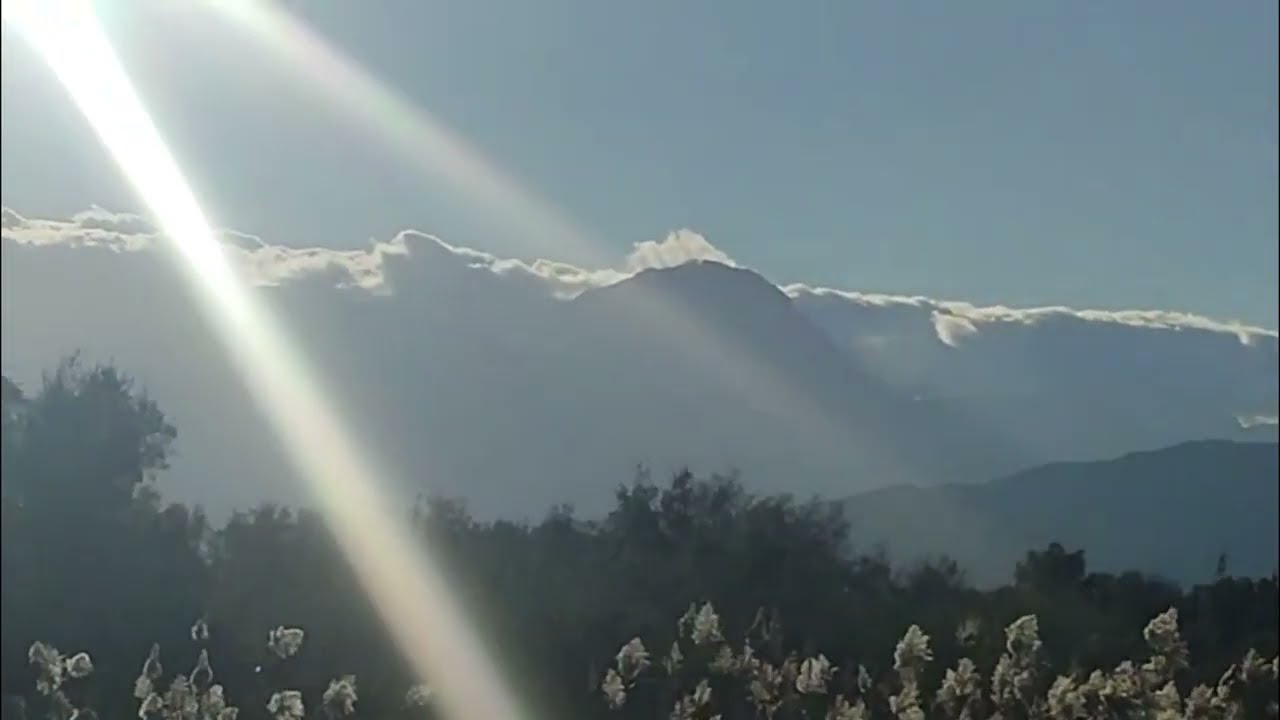 شاركت معكم خريجة ديالي إلى الطبيعة 🌲🌾اجواء غزالة وممتعة 