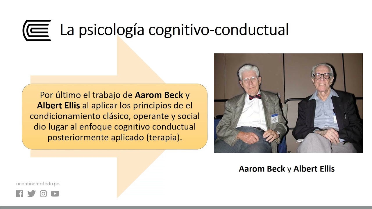 La psicolog&iacute;a cognitivo - conductual