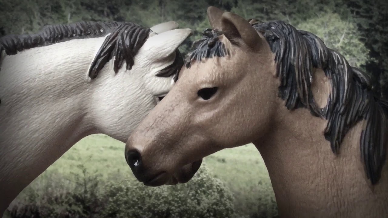 Hold On -!•!- Schleich Music Video -!•!- REMAKE