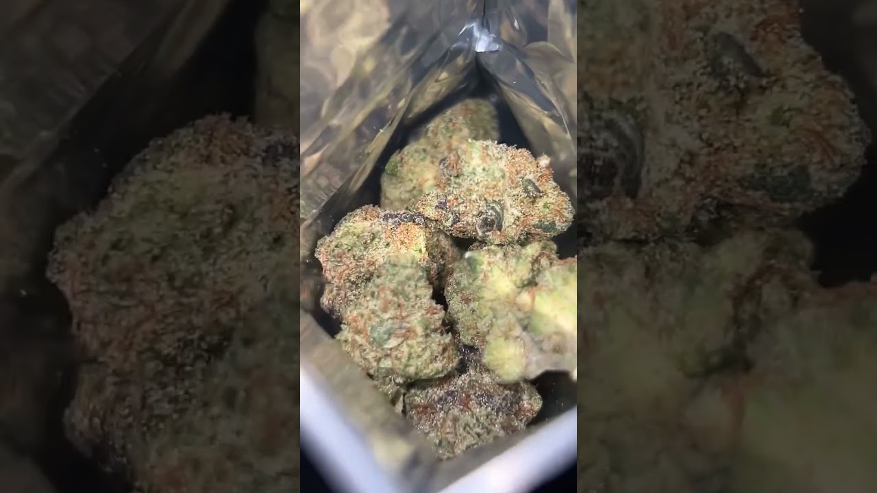 Wildflowerhempco On IG: 😋 #shortsfeed #shortsviral #shorts #shortsyoutube