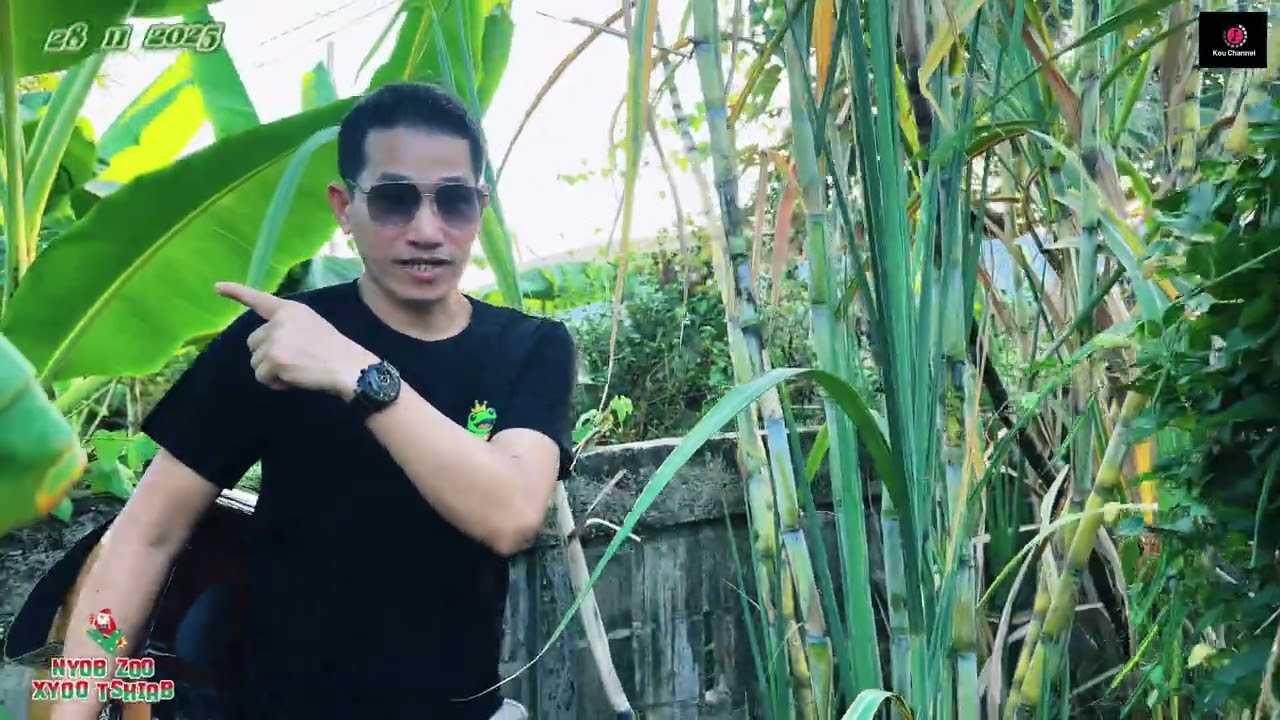 Lub neej nyob nplog 