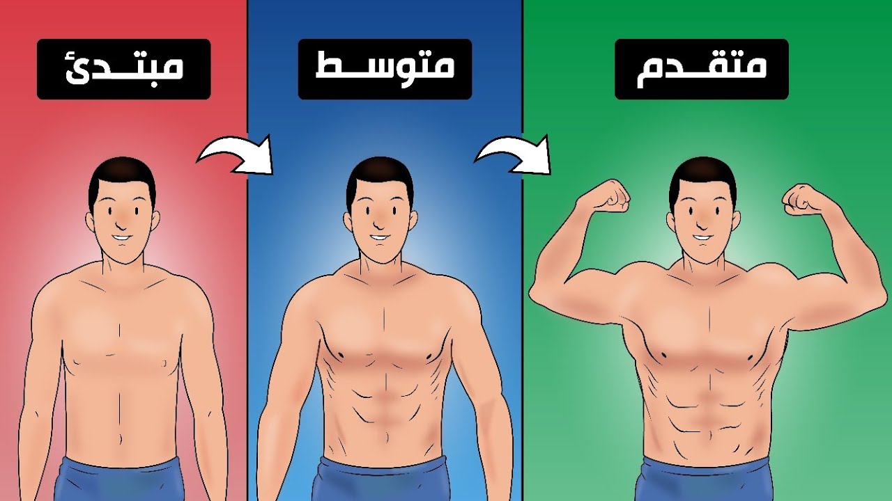 عدد أيام التمرين الأنسب لك لبناء العضلات