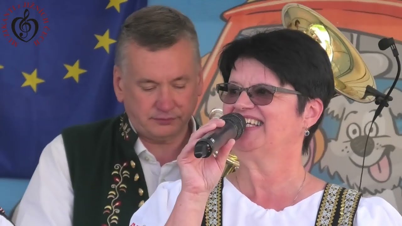 MUZIKANTI z JIŽNÍCH ČECH - Hovoranský potůček, Brno - Královopolské vinobraní (Official Video)
