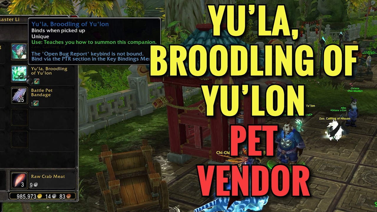 Yu'la, Broodling Of Yu'lon Pet Vendor Location (WoW MOP)