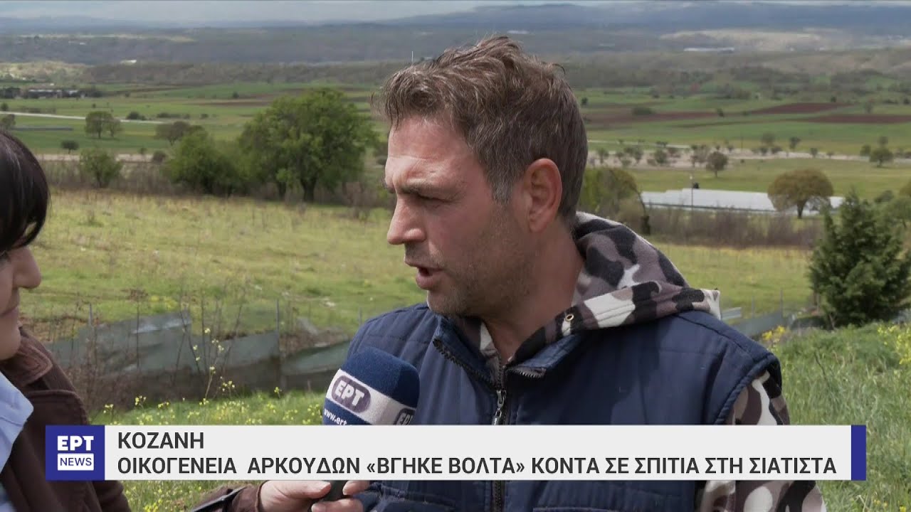 Κοζάνη: Οικογένεια αρκούδων «βγήκε βόλτα» κοντά σε σπίτια στη Σιάτιστα | 26/04/2023 | ΕΡΤ