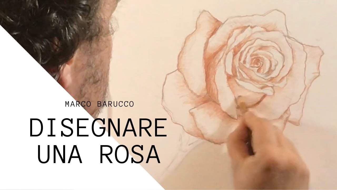 Come disegnare una rosa - Lezione di disegno.